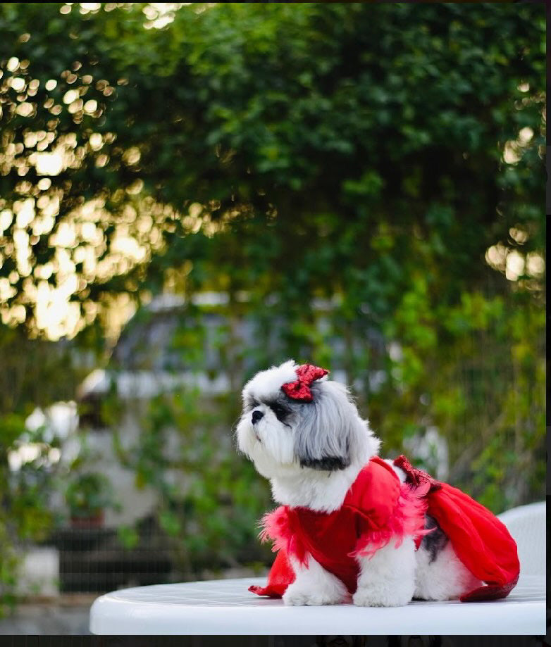 Red princess dress – Furrvanity Red princess dress – Furrvanity