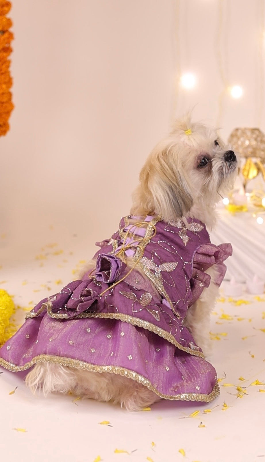 The Lavender Bloom Lehenga
