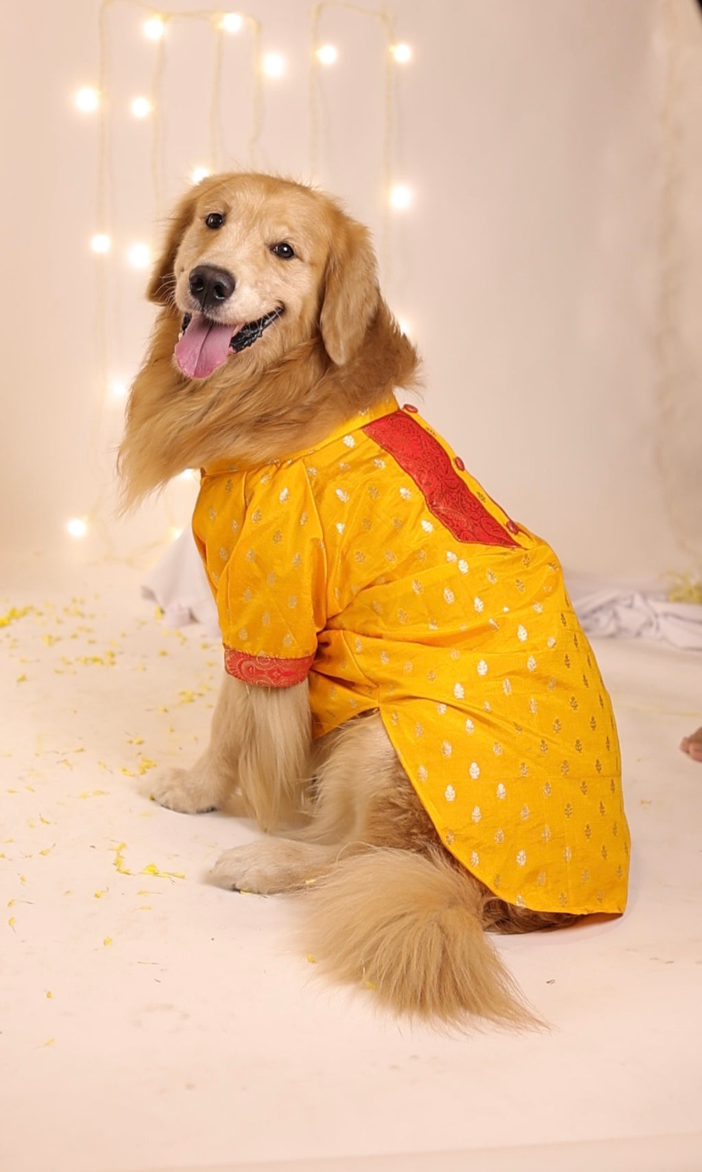 The Royal Marigold Kurta
