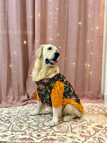 Mustard yellow Kurta with Jashn Bandhgala
