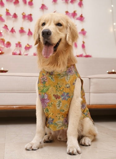 Yellow Rangrez kurta