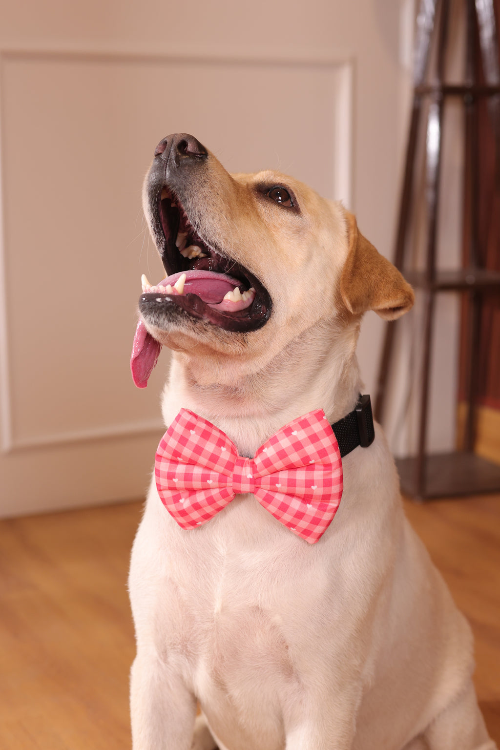 Love checkered bow
