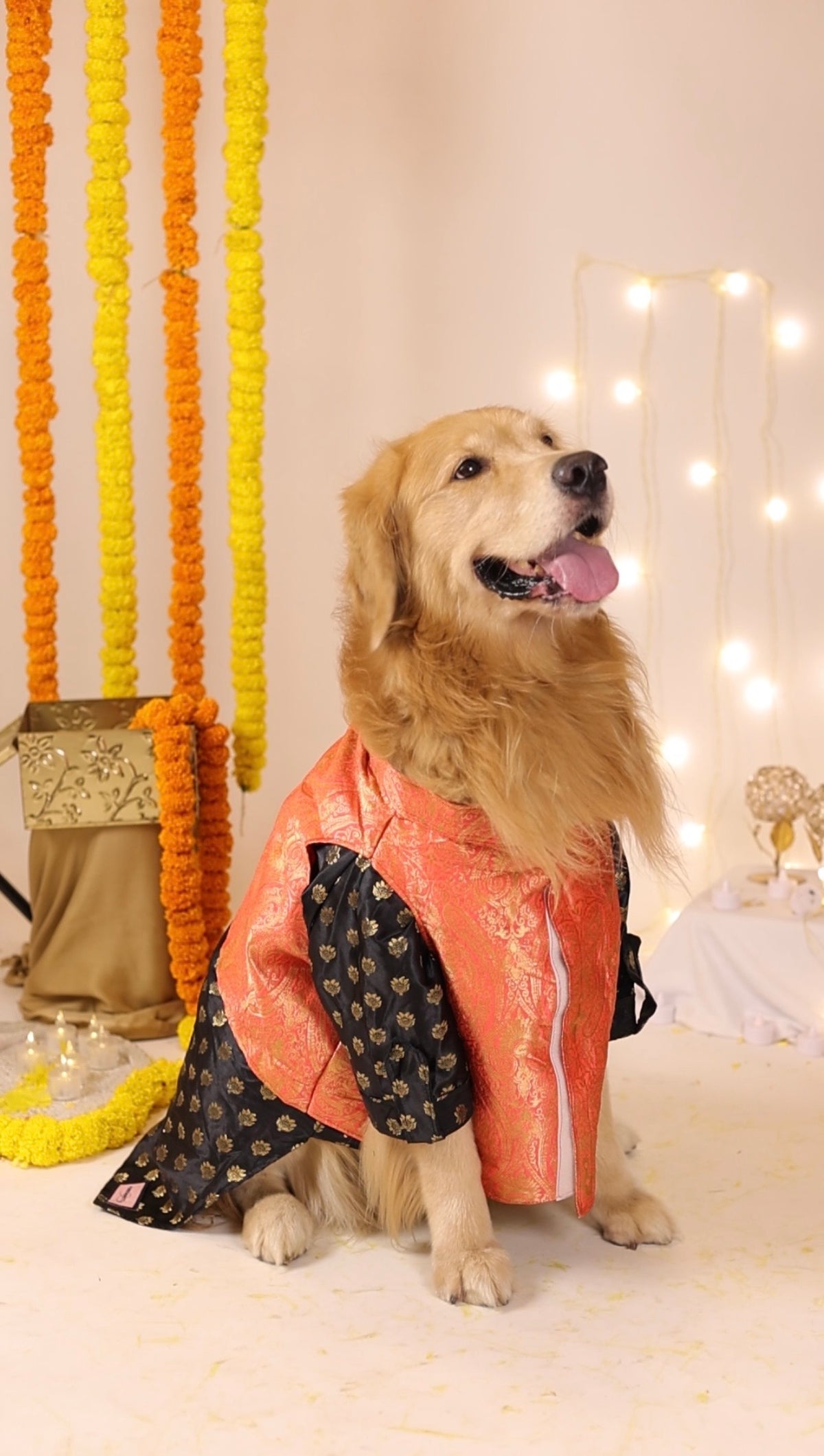 Amber Zari Brocade Jacker & Kurta Set