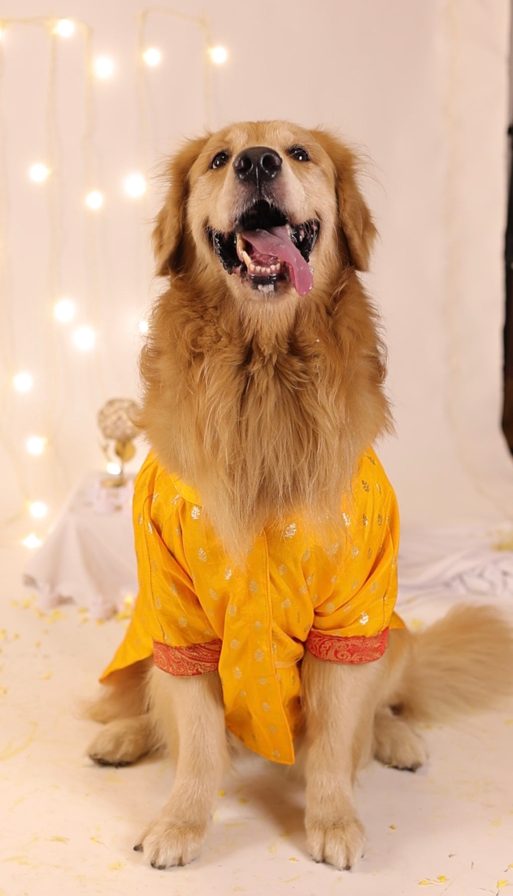The Royal Marigold Kurta