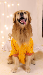 The Royal Marigold Kurta