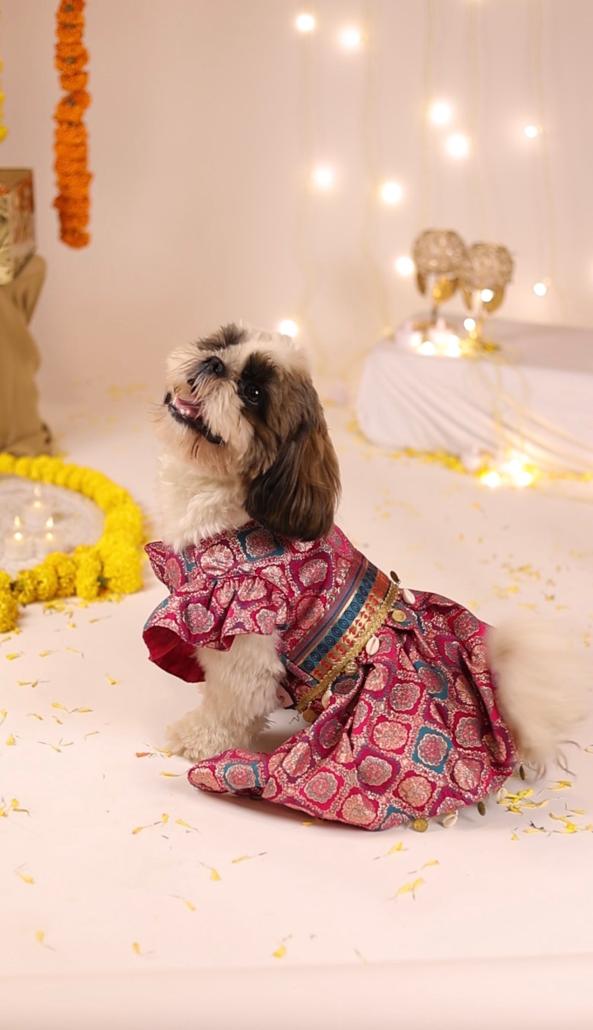 Pink Banarsi Brocade Anarkali