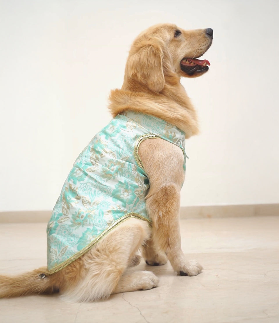 Green brocade bandhgala