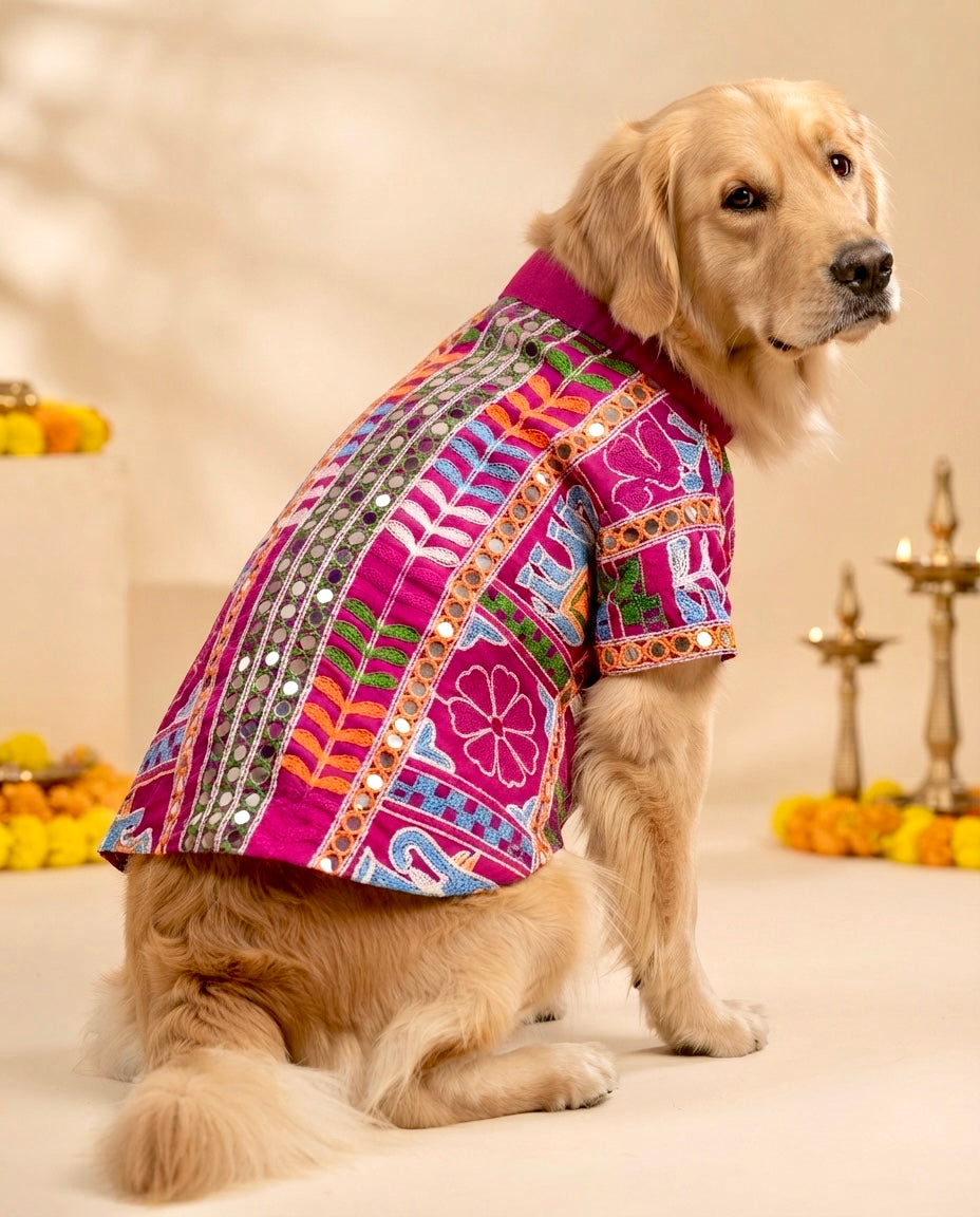 Rang Utsav Kurta