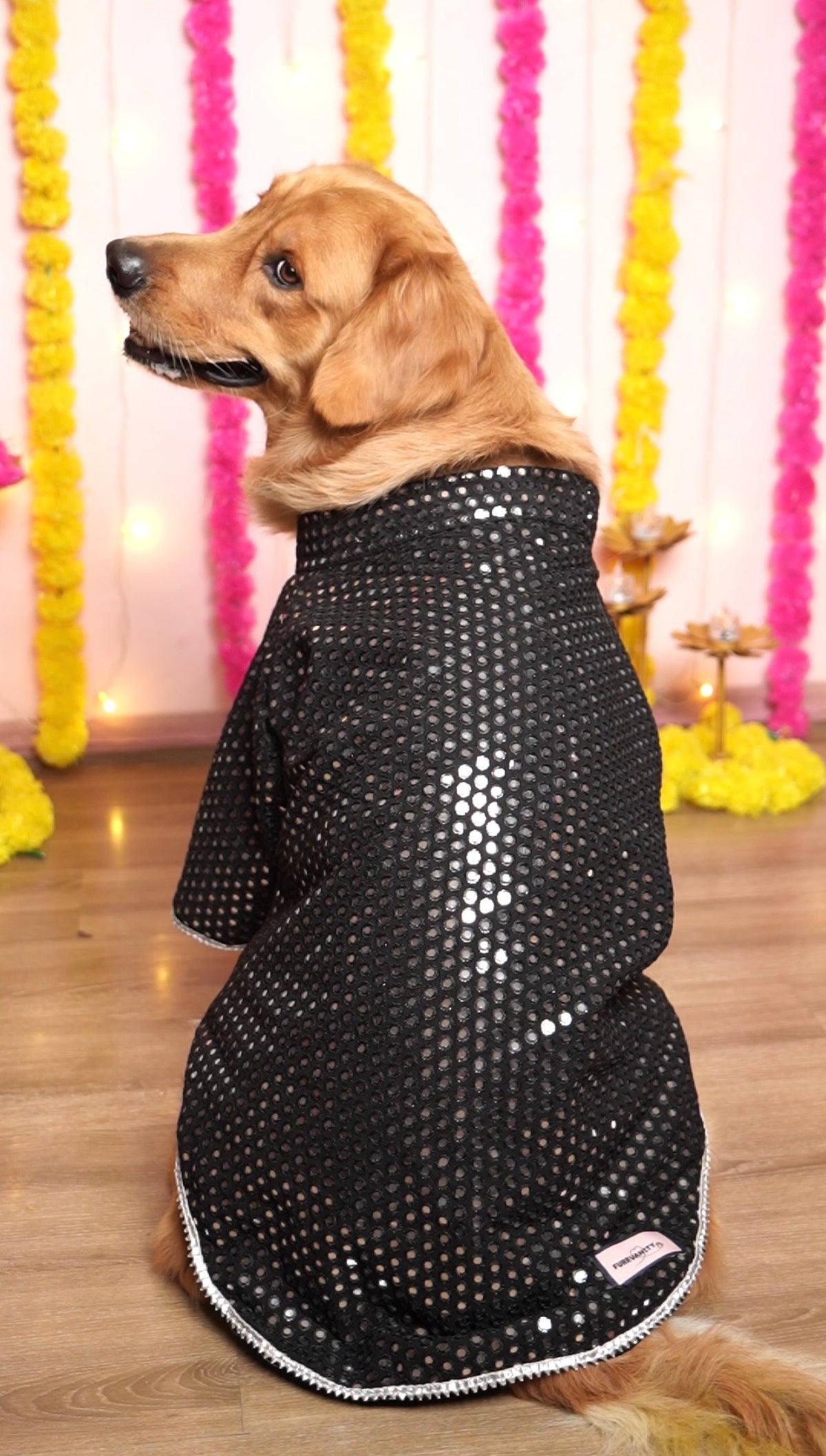 Black mirror work sherwani