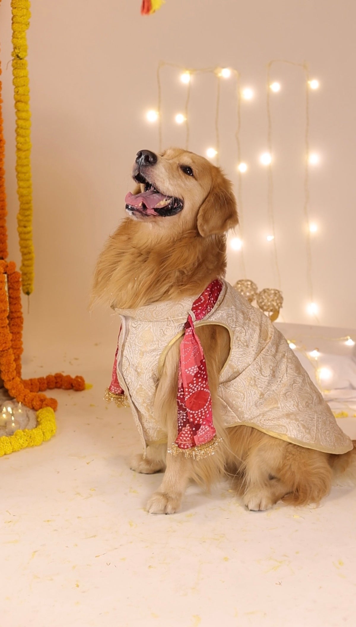 The Shahzada Bandhgala with Dupatta