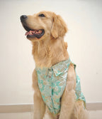 Green brocade bandhgala