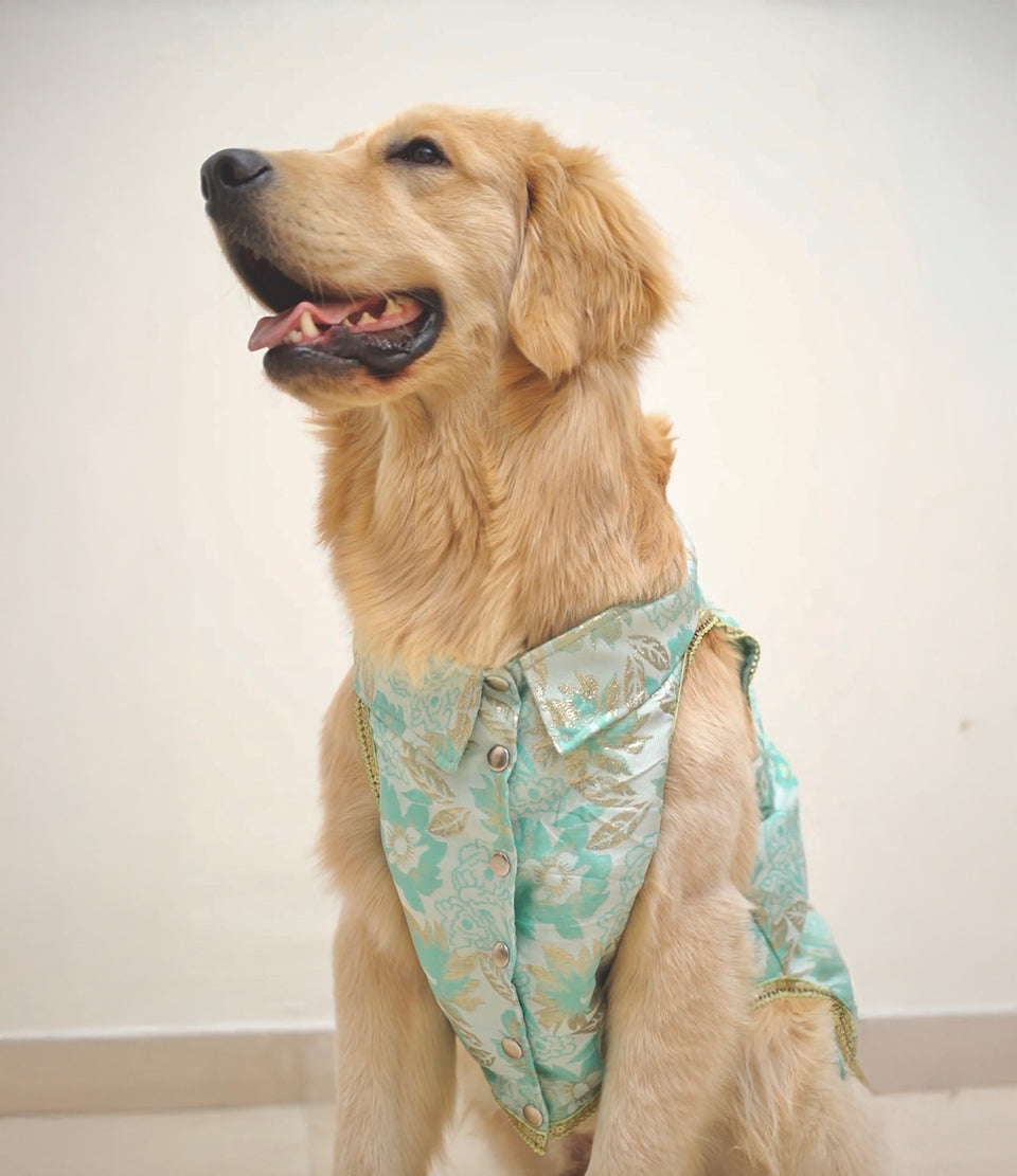 Green brocade bandhgala