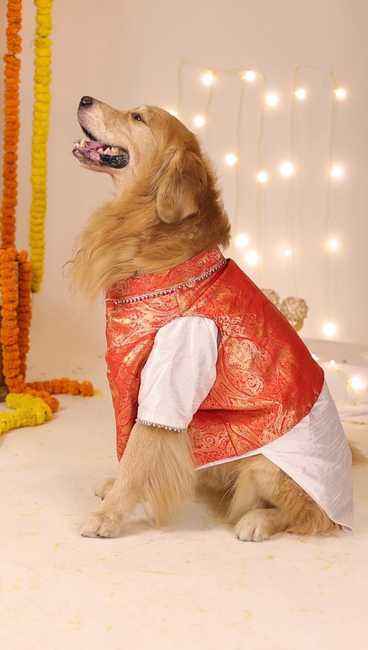Lal-Shada Pujo Brocade Kurta Set