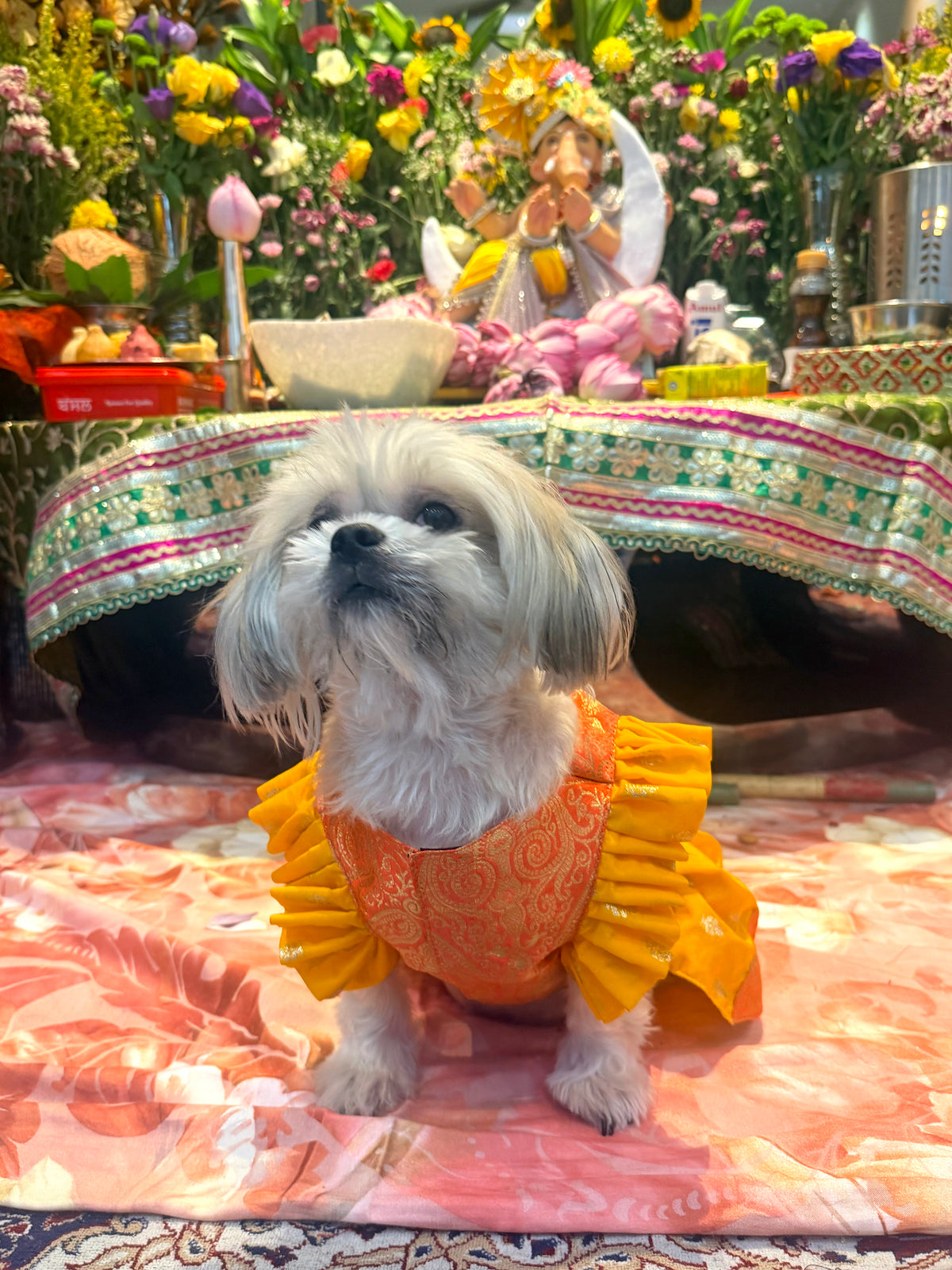 Saffron-Marigold Festive Pattu Lehenga