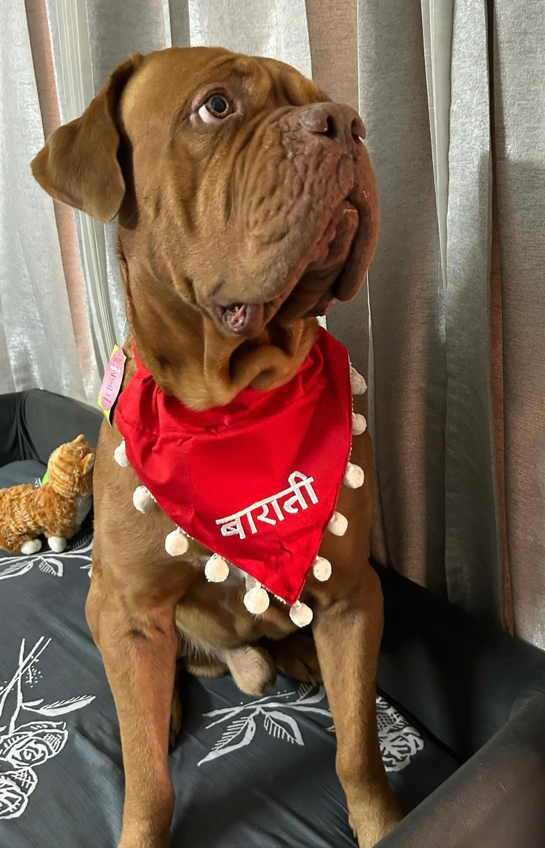 Baraati Bandana