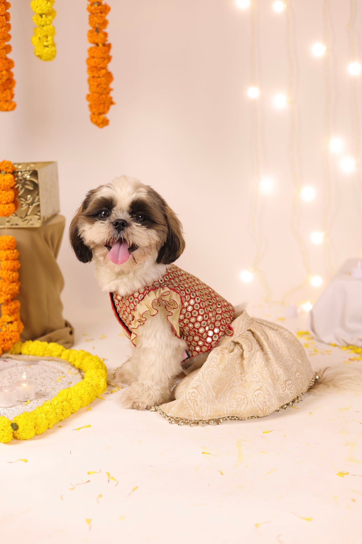 Sitara Moti Lehenga