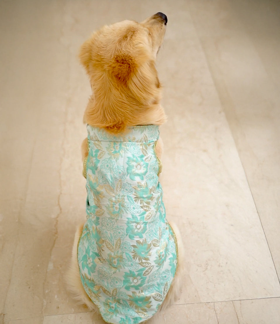 Green brocade bandhgala