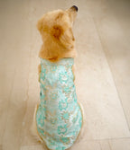 Green brocade bandhgala