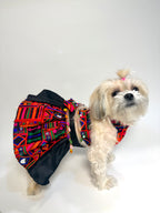 Garba chaniya choli