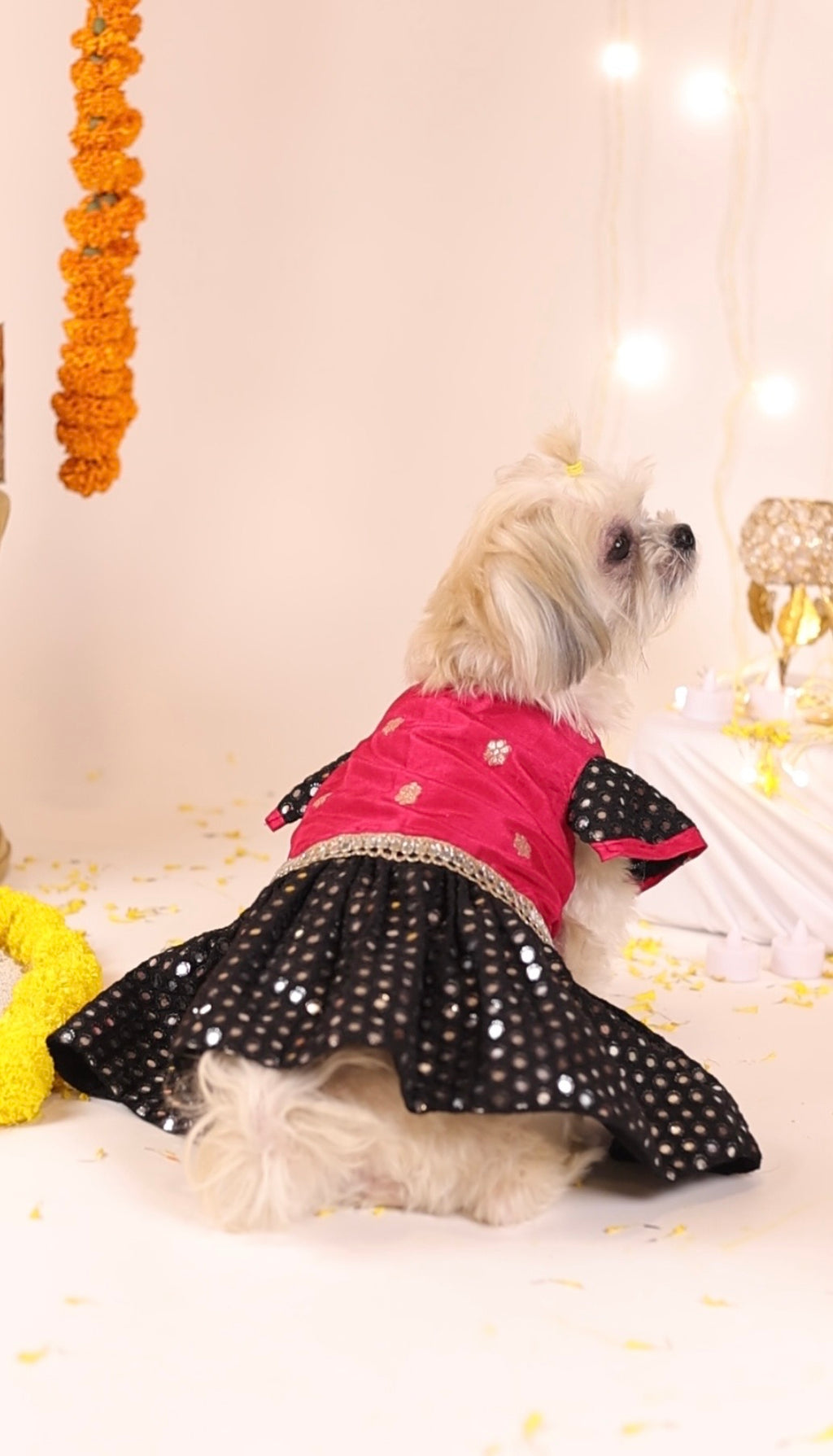 The Royal Sheesha Dress