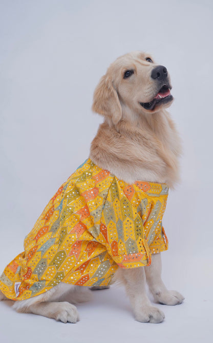 Yellow Block Sequins Sherwani