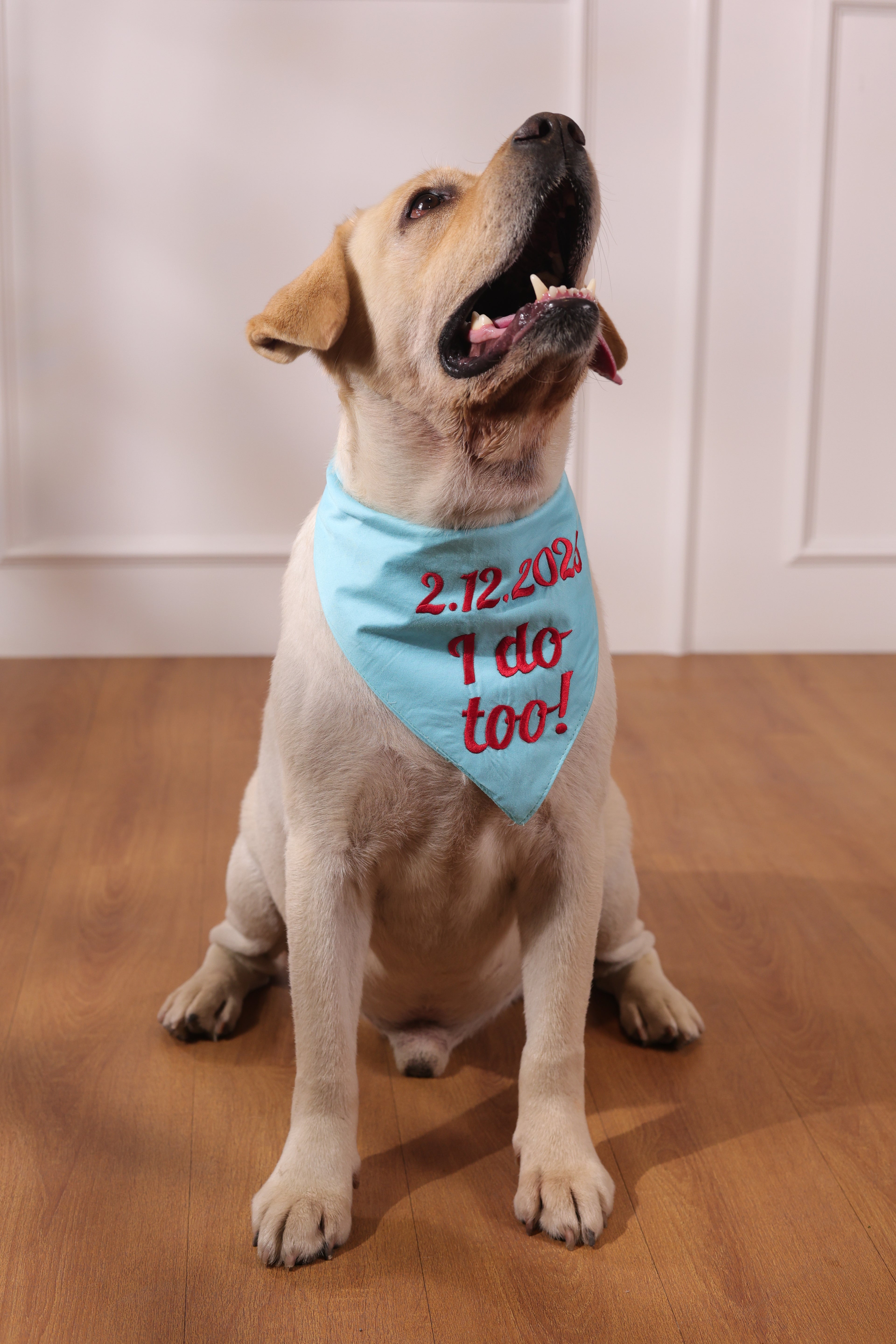 Blue I do too Bandana