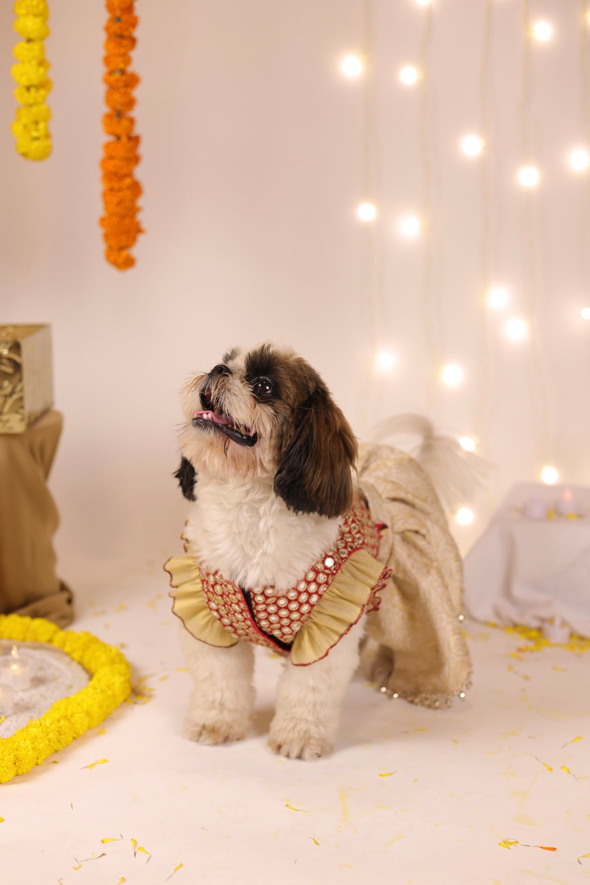 Sitara Moti Lehenga