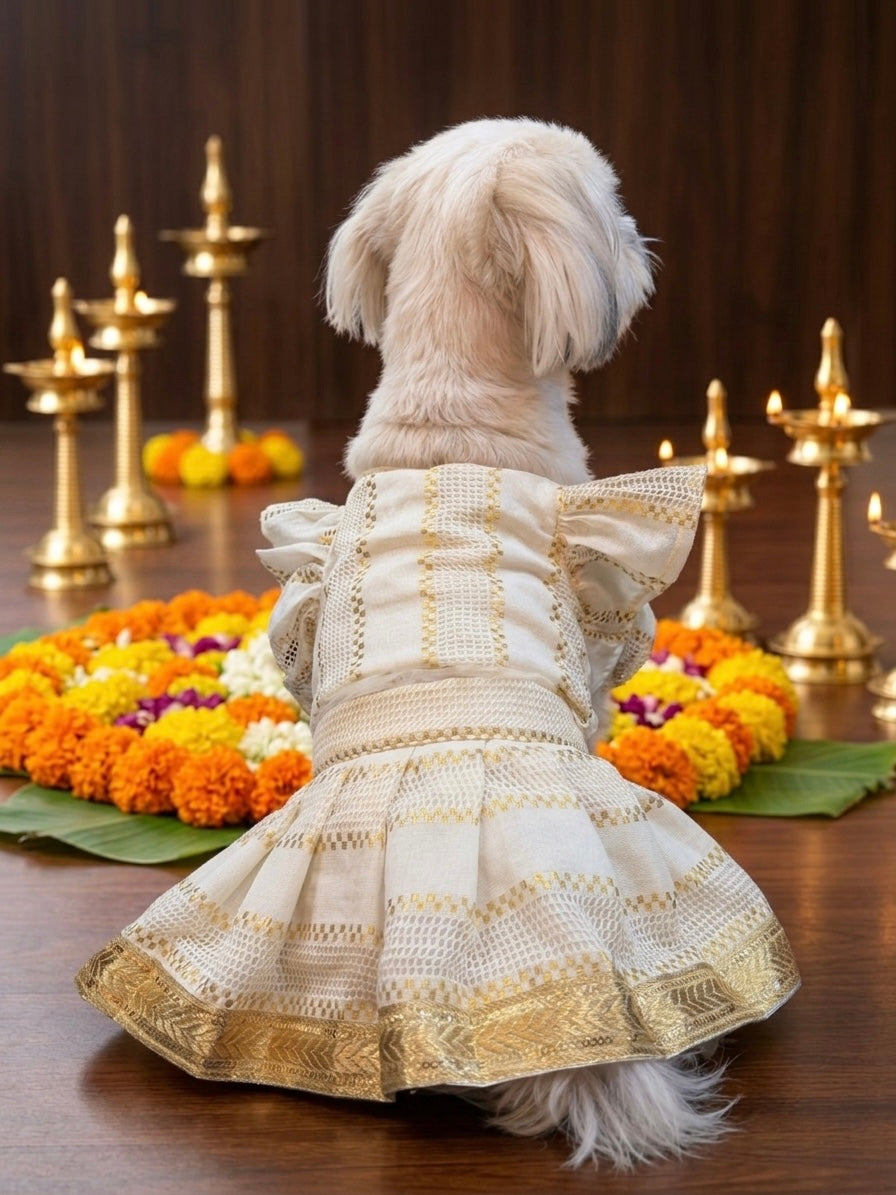 Golden Heritage Zari lehenga