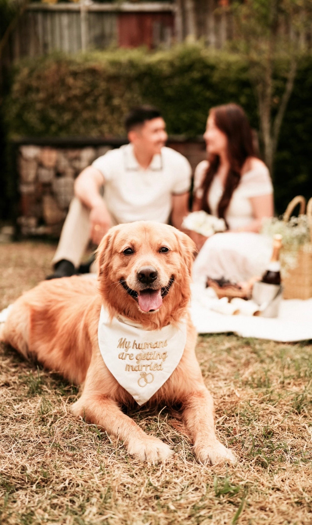 My humans are getting married bandana