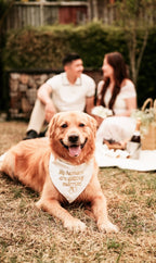 My humans are getting married bandana