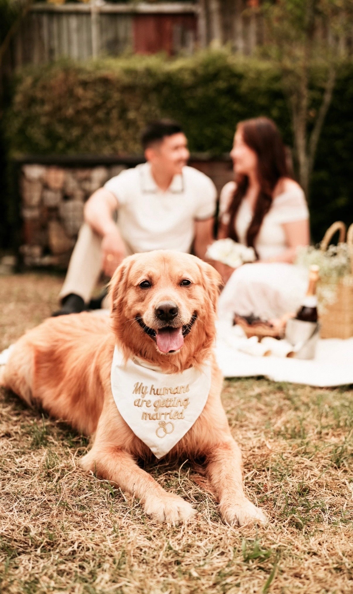 My humans are getting married bandana