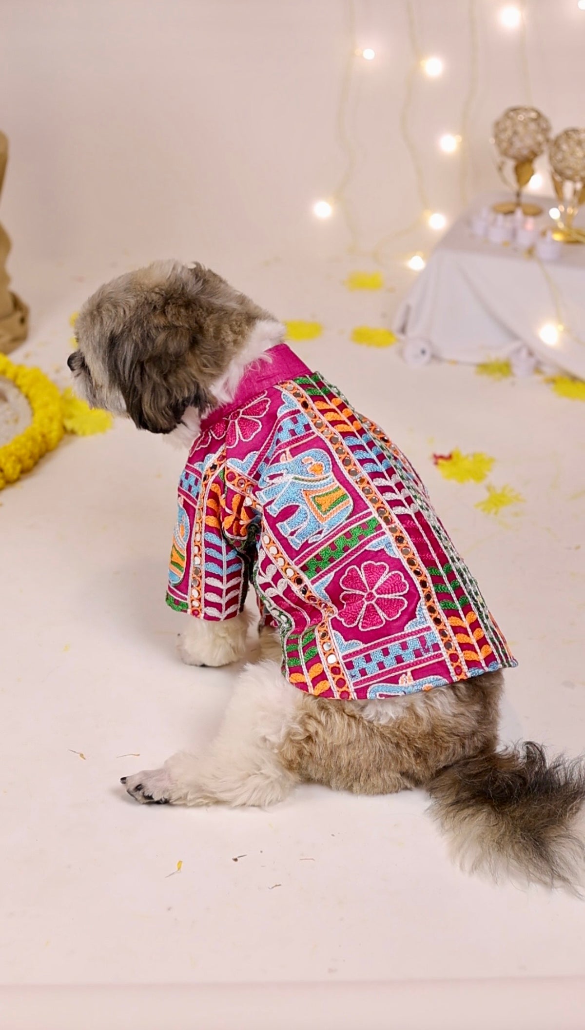 Rang Utsav Kurta