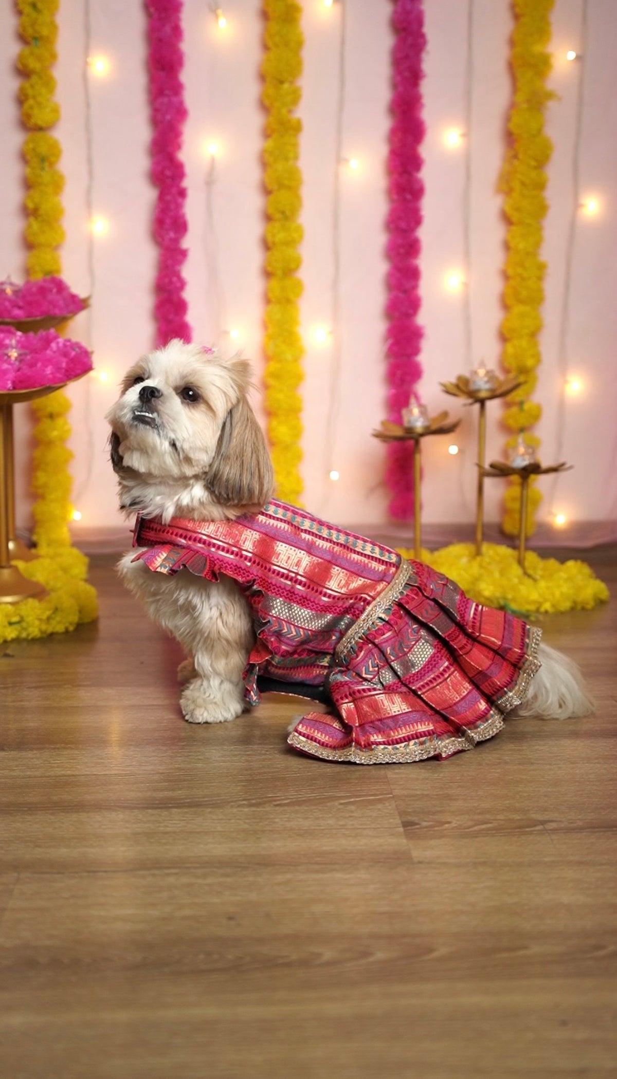 Gulabi fusion anarkali