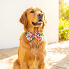 Floral Bow