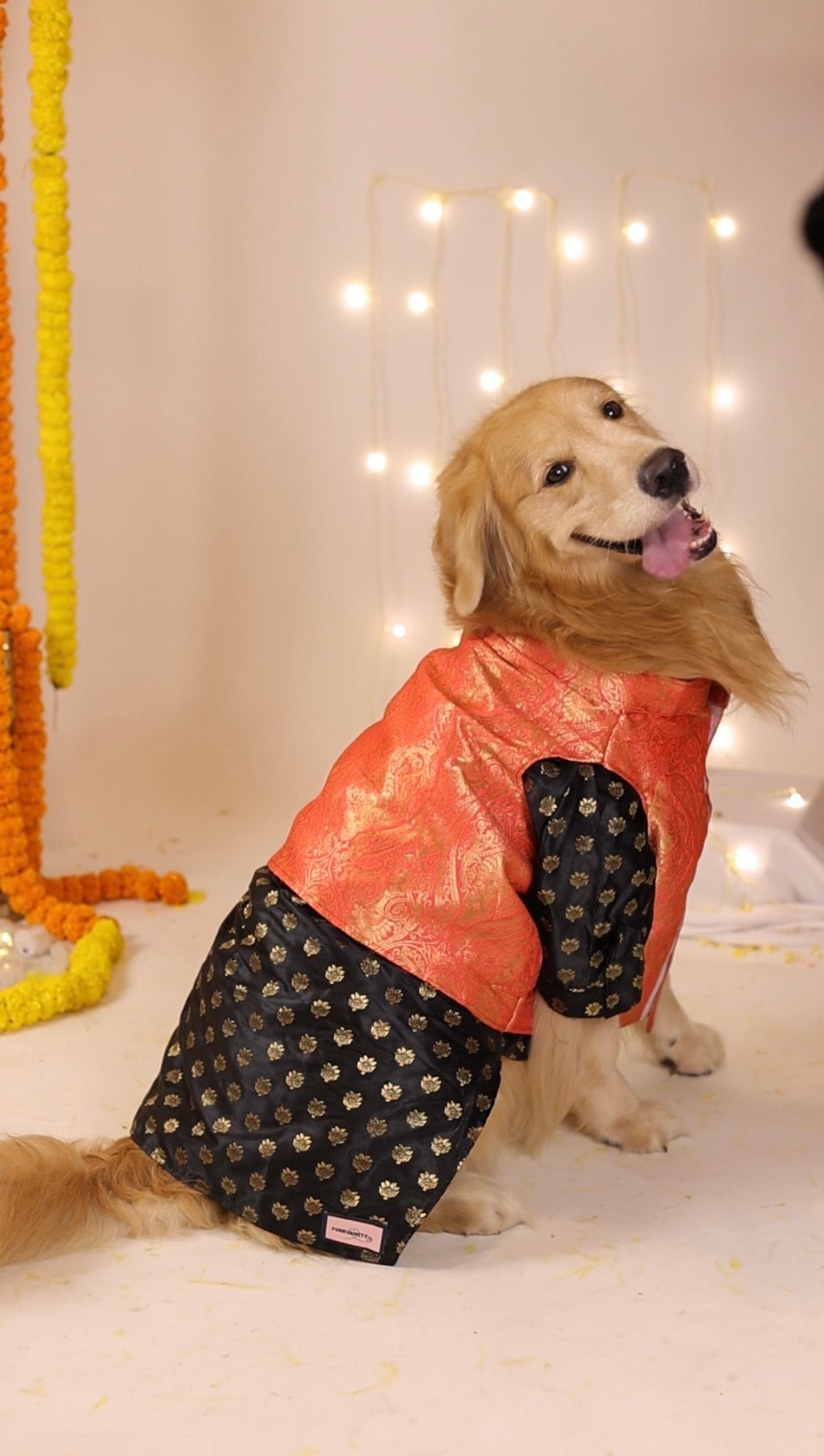 Amber Zari Brocade Jacker & Kurta Set