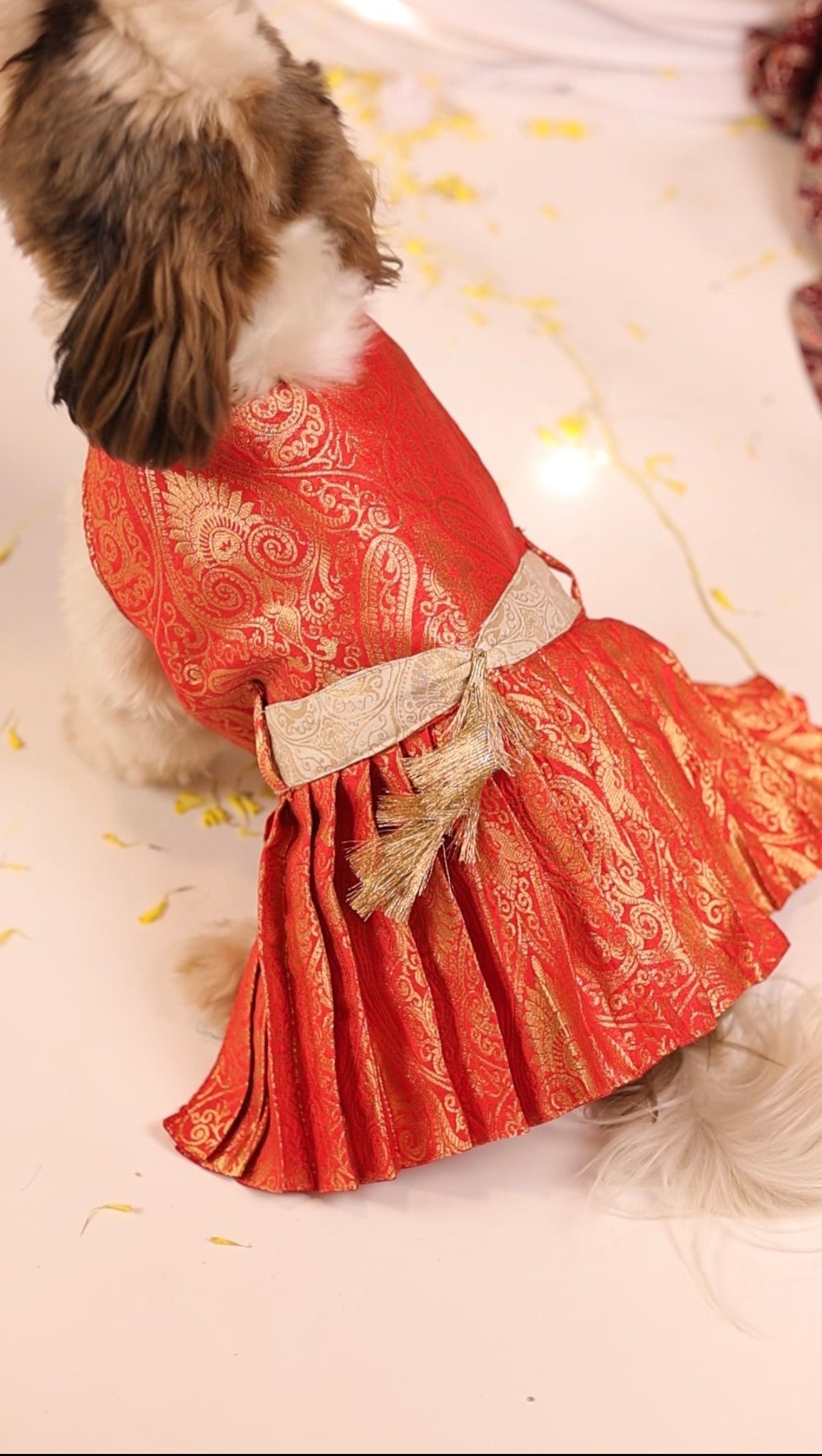 Red Brocade Anarkali Dress