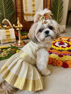 Onam Heritage Dress