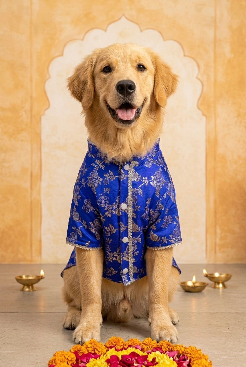 The Royal Sapphire Kurta