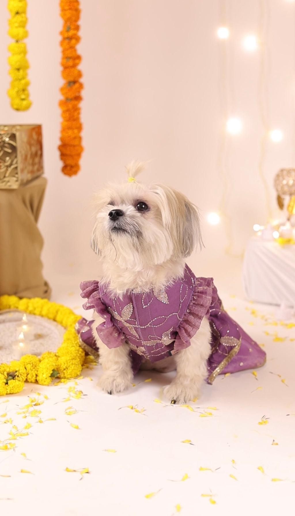 The Lavender Bloom Lehenga