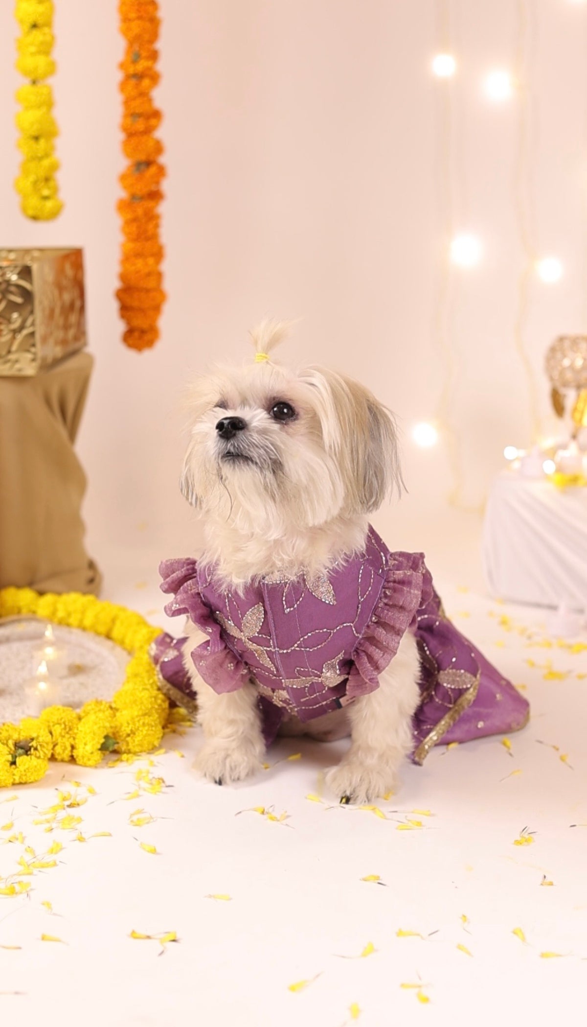 The Lavender Bloom Lehenga