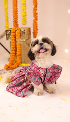 Pink Banarsi Brocade Anarkali