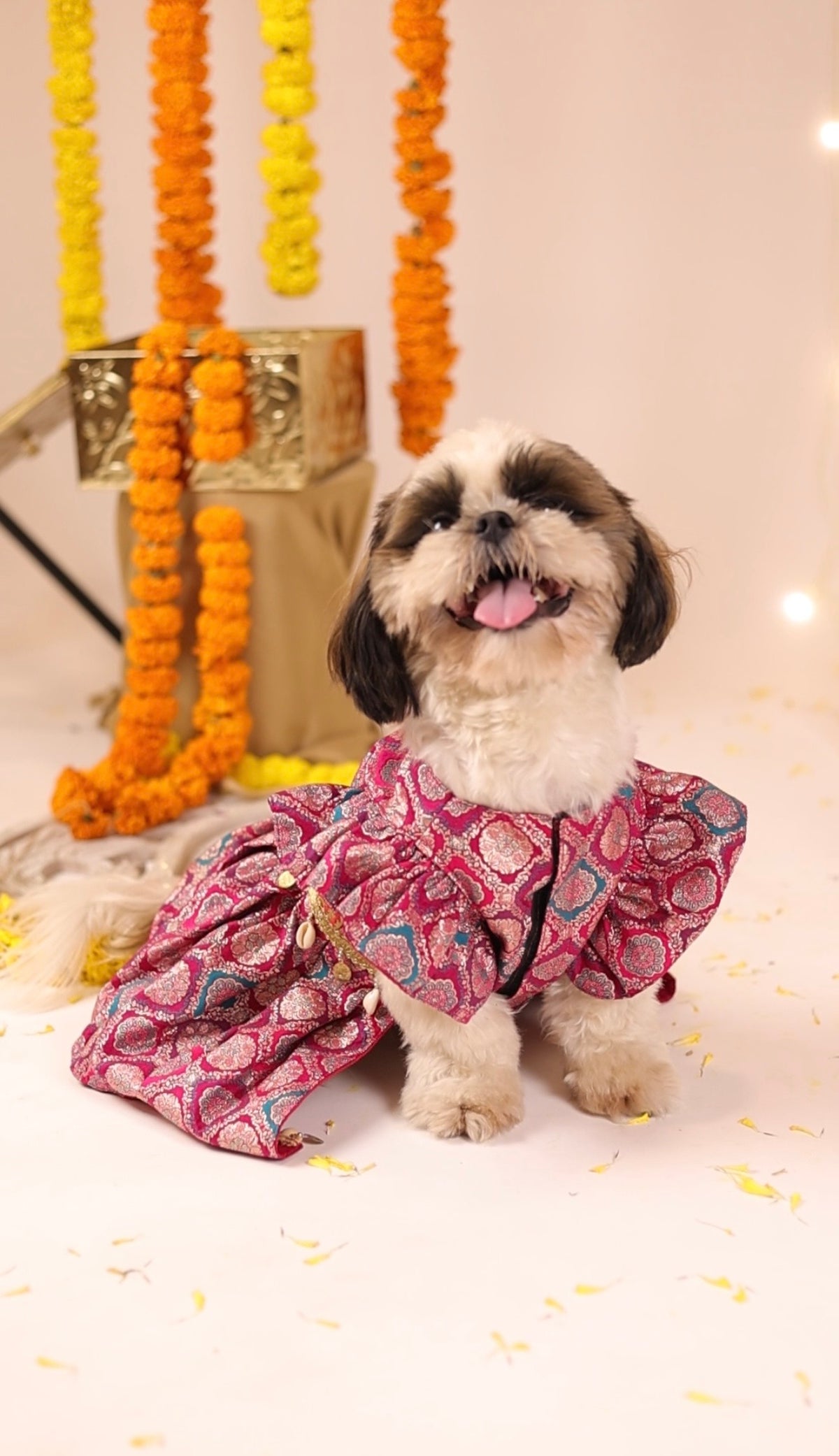 Pink Banarsi Brocade Anarkali