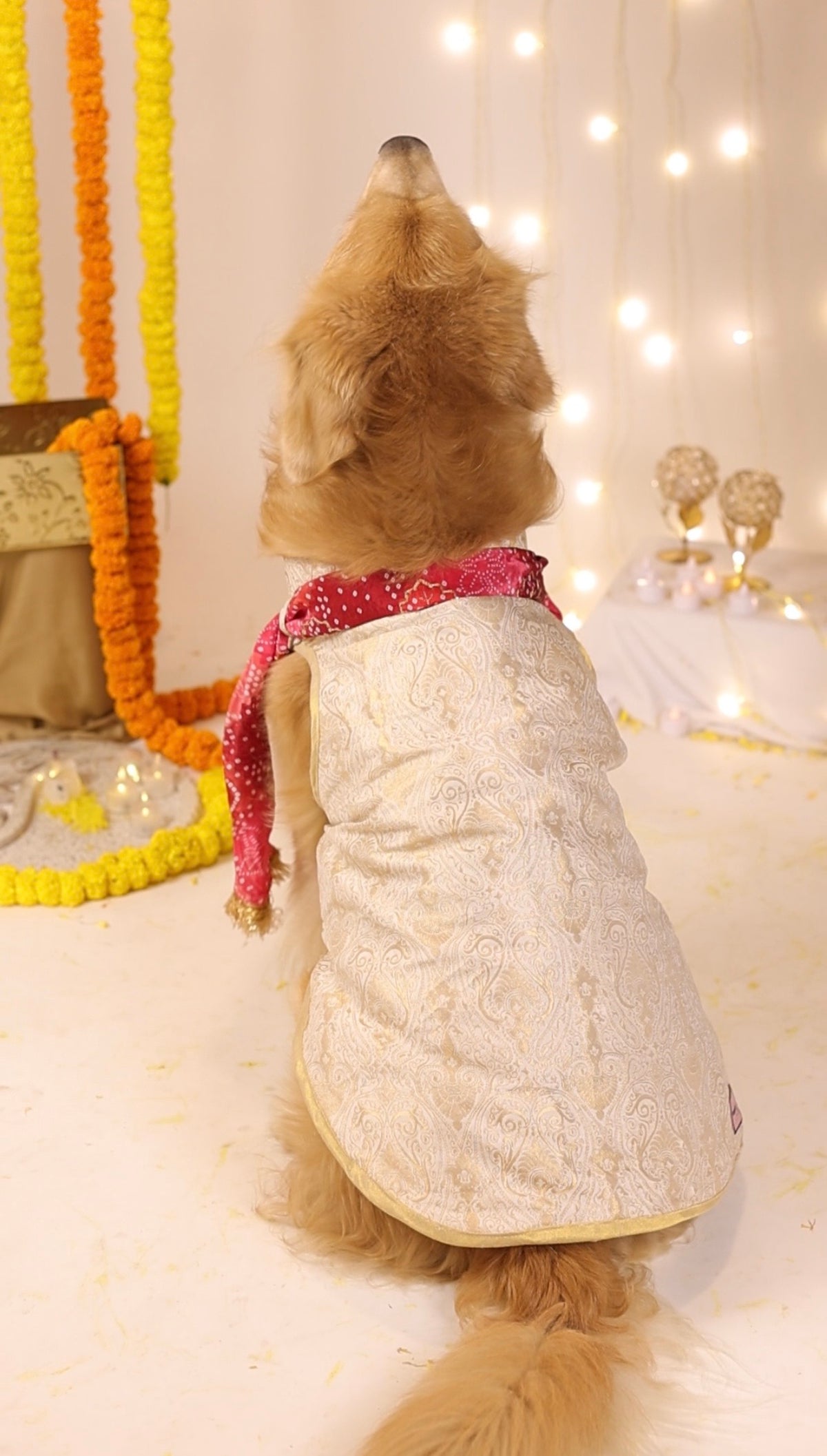 The Shahzada Bandhgala with Dupatta