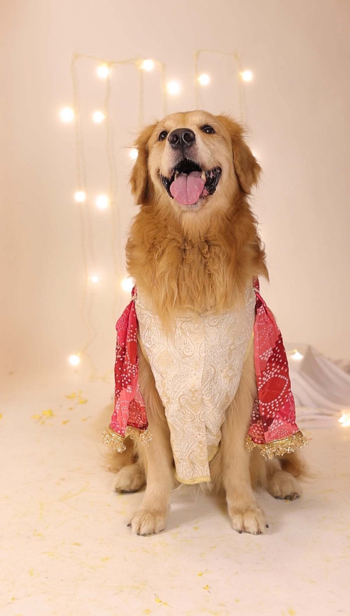 The Shahzada Bandhgala with Dupatta