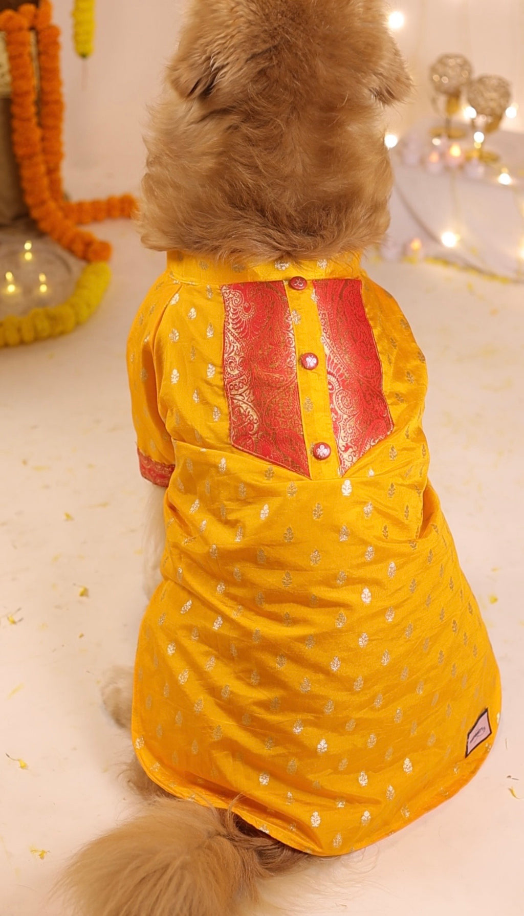 The Royal Marigold Kurta