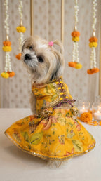 Marigold Butterfly Lehenga