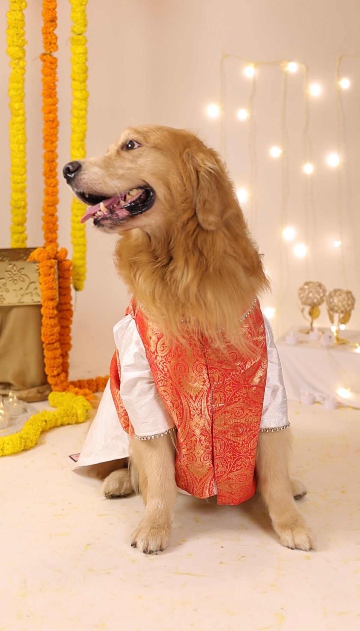 Lal-Shada Pujo Brocade Kurta Set