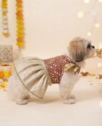 Sitara Moti Lehenga