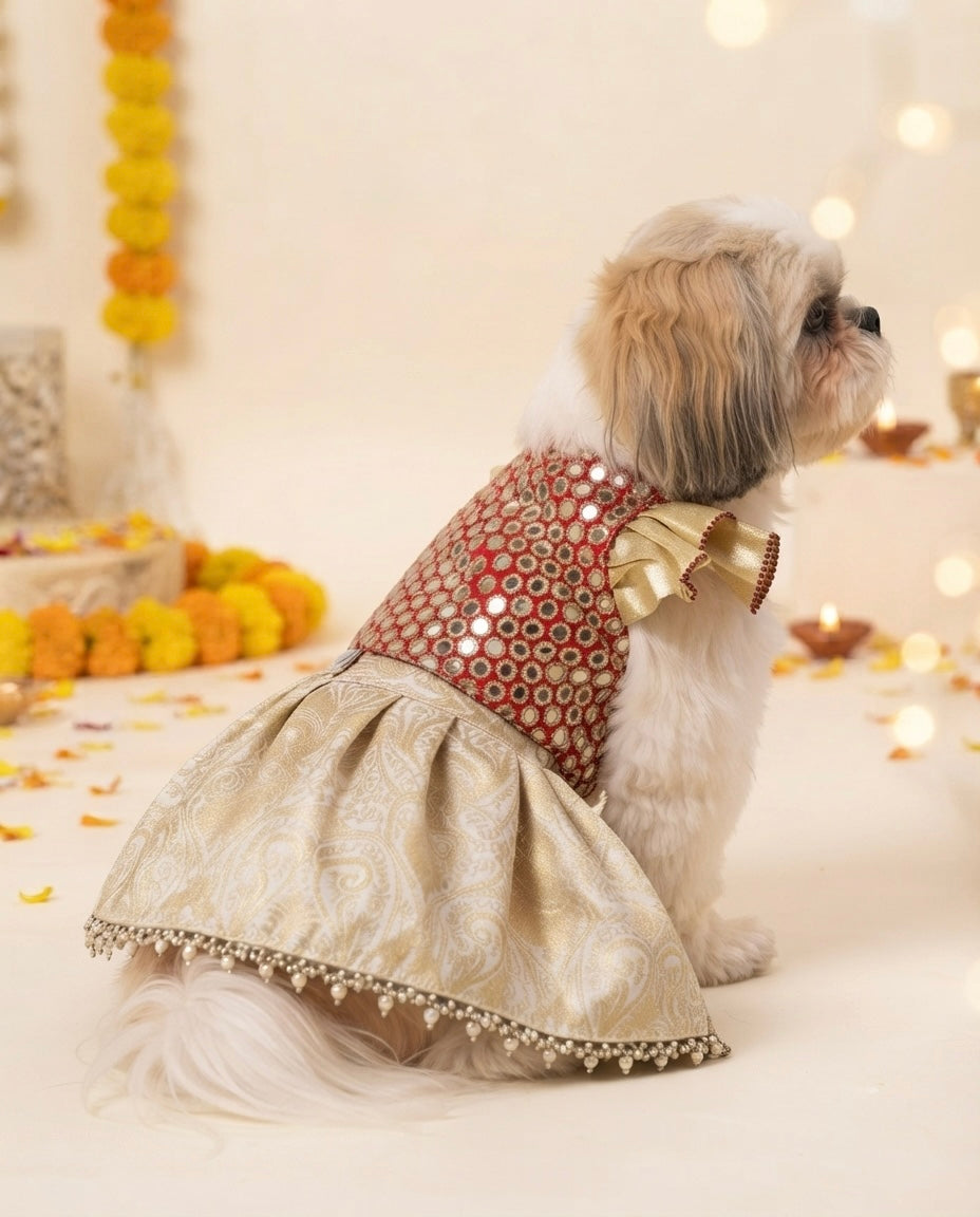 Sitara Moti Lehenga