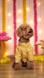 Yellow mirror work sherwani